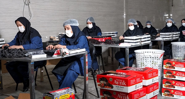 The best supplier of dates in Iran