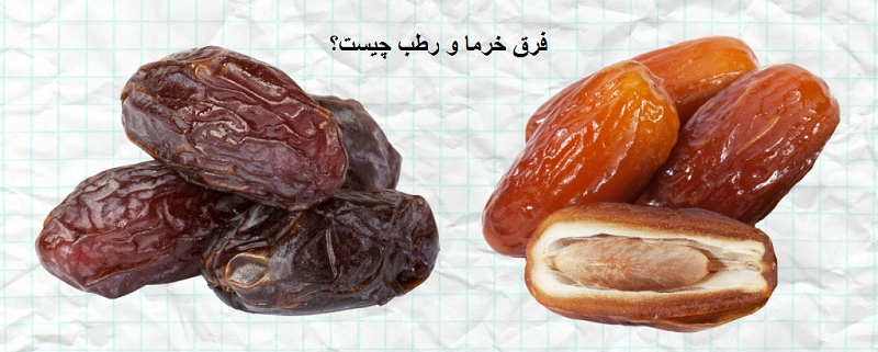 فرق خرما و رطب چیست