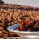 نکات انتخاب تامین کننده خرما